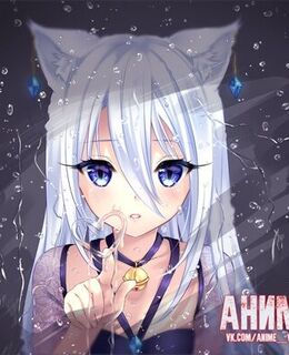 Леха Минкин