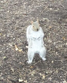 Сергей Ершов