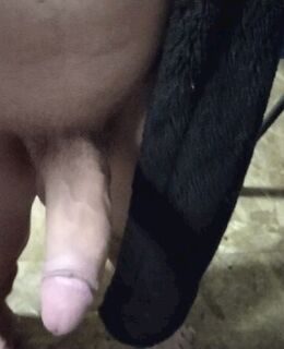 Макс — фото 1